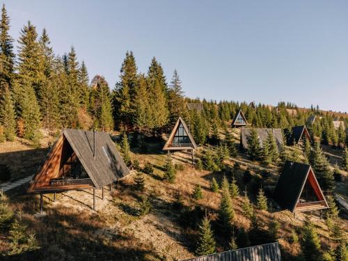 une vue aérienne d'une forêt d'arbres avec des maisons dans l'établissement УЛІС Ворохта, à Ilʼtsya Gurny