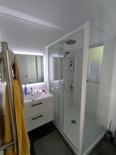 ein weißes Badezimmer mit Dusche und Waschbecken in der Unterkunft Nelson Road Apartment in Gisborne