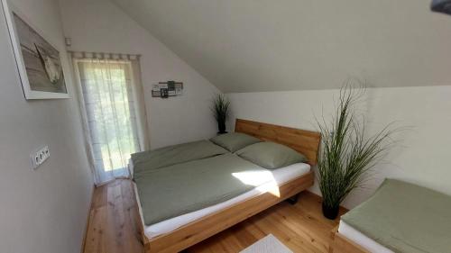 a bedroom with a bed and a plant in it at Apartmán u Dolní Moravy in Prostřední Lipka
