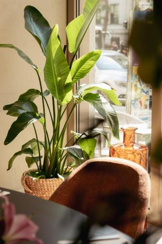 Fotografie z fotogalerie ubytování House of Ble ve Vídni