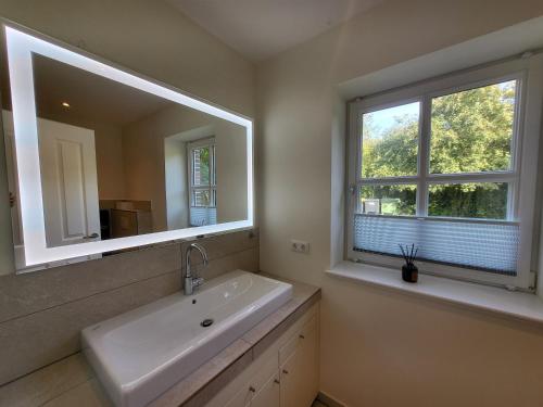 a bathroom with a sink and a mirror and a window at Böhler Haubarg Böhler Stuv 7 in Böhl