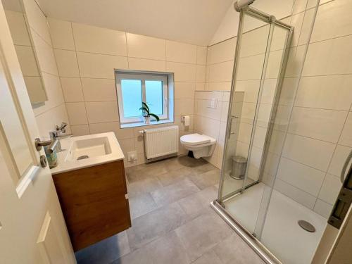 a bathroom with a shower and a toilet and a sink at !!!NEU!!! FEWO Sanna in Dornum