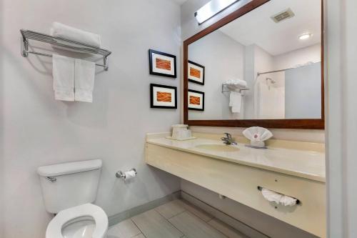 Koupelna v ubytování Comfort Inn & Suites