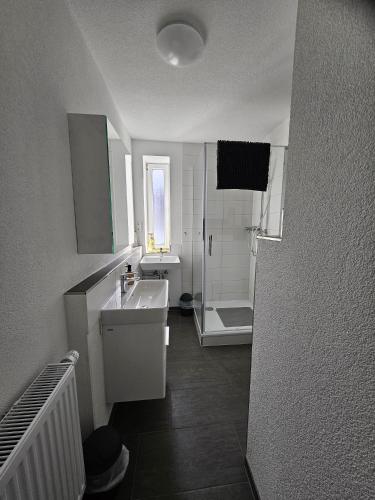a white bathroom with a sink and a shower at Work & Stay Tailfingen in Albstadt