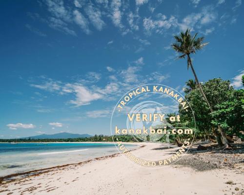 Blick auf einen Strand mit einer Palme in der Unterkunft Tropical Kanakbai in Dahikan