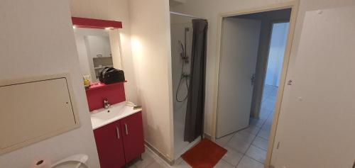 a bathroom with a shower and a sink and a toilet at Cosy Appartement proche Bordeaux Proche centre ville in Villenave-dʼOrnon