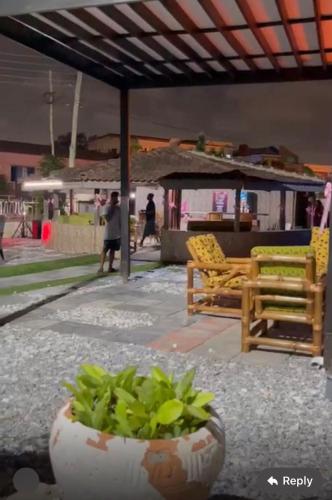 una pianta in un vaso su un patio con due sedie di Estepona Playa a Accra