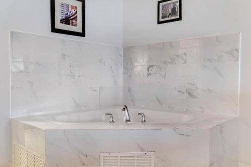 Koupelna v ubytování Comfort Suites Auburn Hills-Detroit