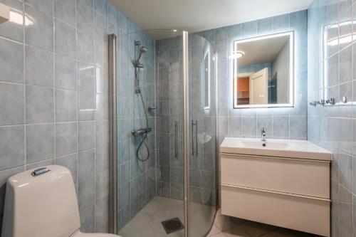 a bathroom with a shower and a toilet and a sink at Geilo Town Centre - Apartment with a Superb Location and walking Distance to Everything in Geilo