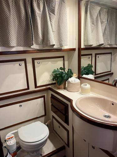 バレンシアにあるXanqueteのトイレと洗面台のあるバスルーム