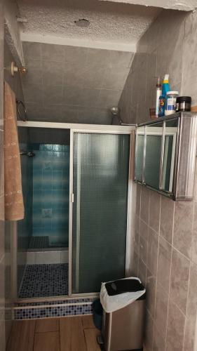 a shower with a glass door in a bathroom at Lombardia Planes de Renderos in San Marcos