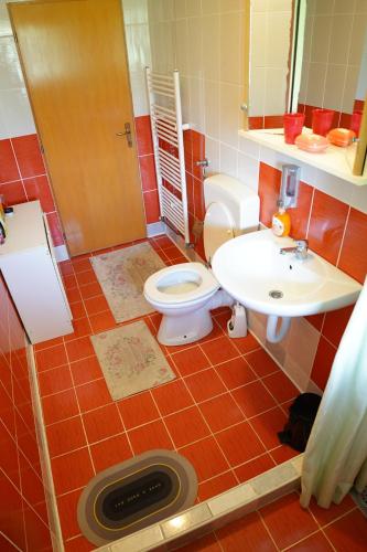 a bathroom with a toilet and a sink at Stan na dan in Ilijaš