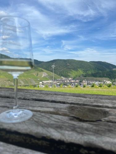 a glass of wine sitting on a table with a view at Ferienwohnung Rebennah - modern - Freisitz - Küche - ideal für Monteure in Platten
