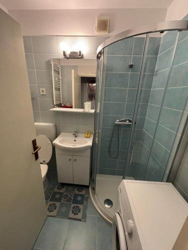a bathroom with a shower and a toilet and a sink at Apartma Roberto - Ankaran in Ankaran
