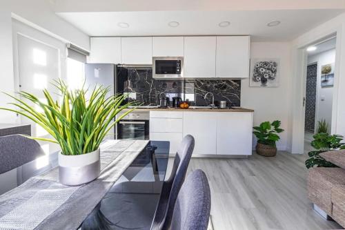 a kitchen with white cabinets and a table with plants at Brisa Mar/Villa Eira Nova in Porto Covo