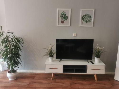a flat screen tv on a white entertainment center with two potted plants at Ferienwohnung Am Heimathof in Dorsten