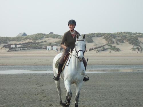 a person riding a white horse on the beach at B&B The Beachhouse in Oostduinkerke