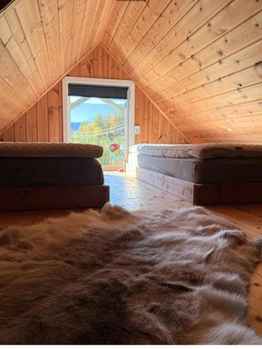 a room with a large fur rug in a room with a window at CC`s Green house in Tromsø