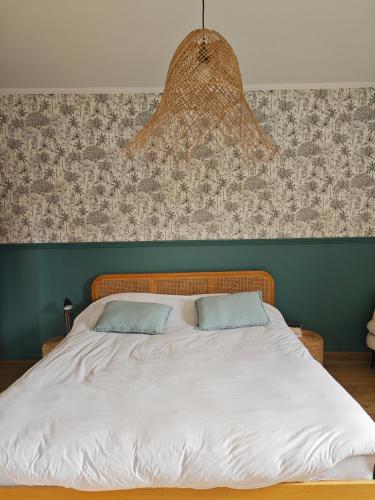 Grande chambre cosy très proche centre ville