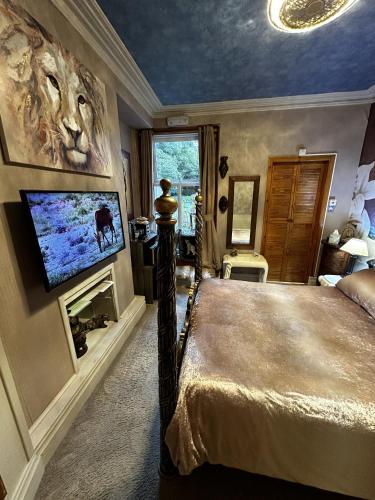 Gallery image of Enjoy An African Adventure In The Heart Of Swansea in Swansea