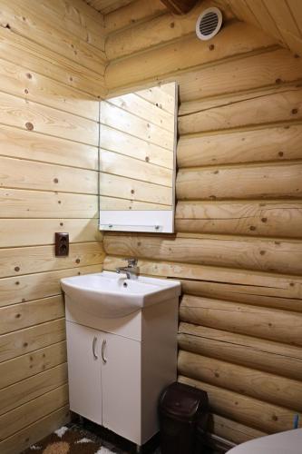 a bathroom with a sink in a wooden wall at Котедж Арніка з Чаном in Vorokhta