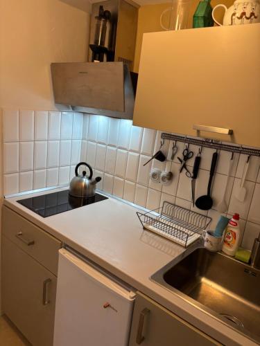 een keuken met een spoelbak en een aanrechtblad bij Sad u Harušťákov in Lubina