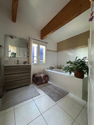 a bathroom with a tub and a potted plant at Maison d'Artiste in La Celle-sous-Gouzon