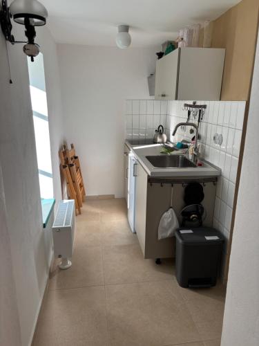 een kleine keuken met een spoelbak en een aanrecht bij Sad u Harušťákov in Lubina