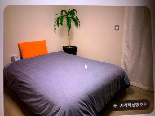 Giường trong phòng chung tại 혼자 여행하는 여성을 위한 안전한 숙소