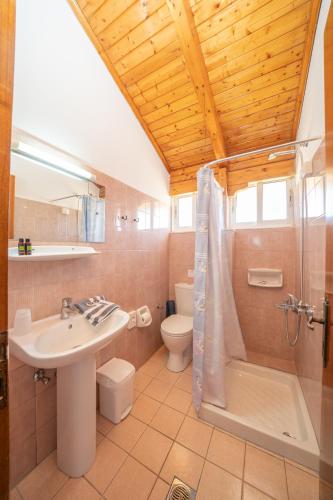 ein Badezimmer mit Waschbecken, Dusche und Toilette in der Unterkunft Lorenzo Hotel in Lassi