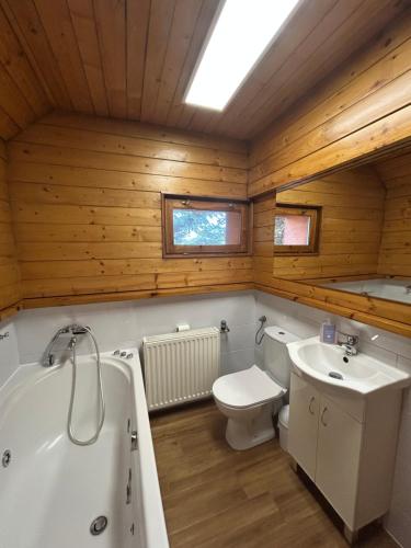 une salle de bain avec une baignoire, des toilettes et un lavabo dans l'établissement Dom na Topolowej, à Ustroń