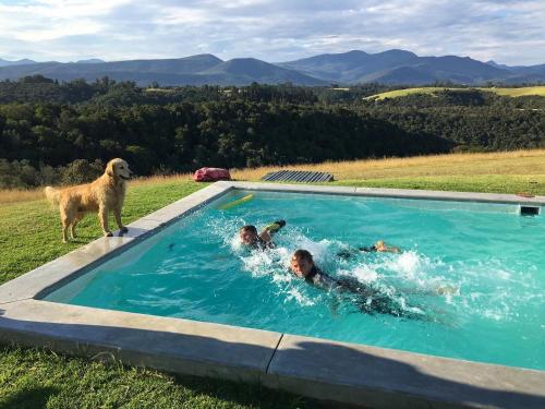 drei Personen mit einem Hund in einem Swimmingpool in der Unterkunft Hillandale House- a modern farmhouse near Plett in Keurboomstrand