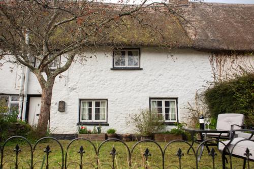 a white house with a tree in front of it at Snowdrop Cottage in Jacobstowe