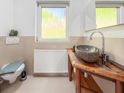 ein Badezimmer mit Waschbecken und Toilette in der Unterkunft Luxus-Wellness-Haus am Waldsee in Rieden
