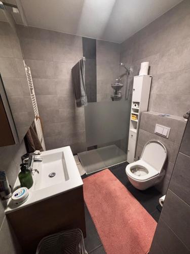 a bathroom with a white sink and a toilet at Cozy personal flat in Differdange in Differdange