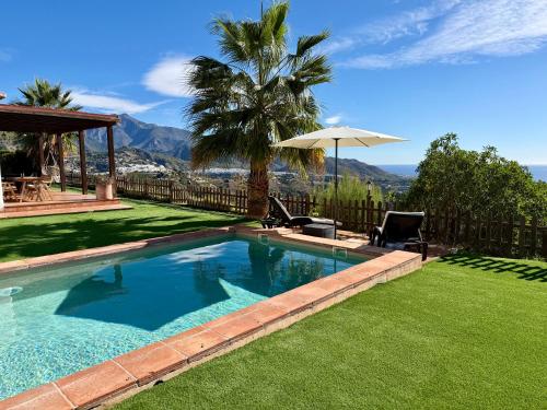 una piscina en un patio con una palmera en Vela Luka Frigiliana, en Frigiliana