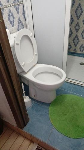 a bathroom with a toilet and a shower with a green rug at Dar Amine in Rabat