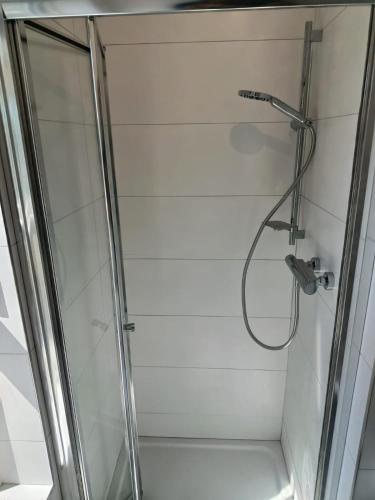 a shower in a bathroom with a glass door at The Free Range Room at The Cracked Hen in Gorey