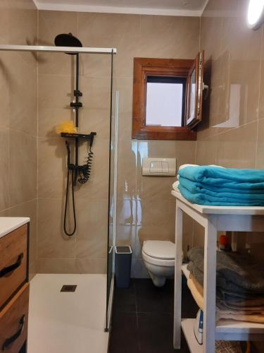 Porto Antigo 2 Beach Club 18 في سانتا ماريا: حمام مع دش ومرحاض