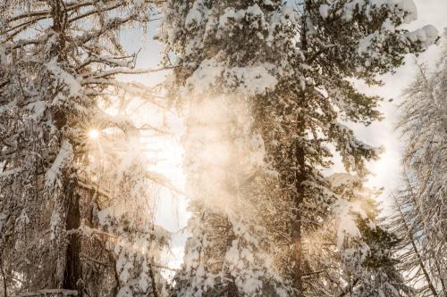 Vigilius Mountain Resort v zimě