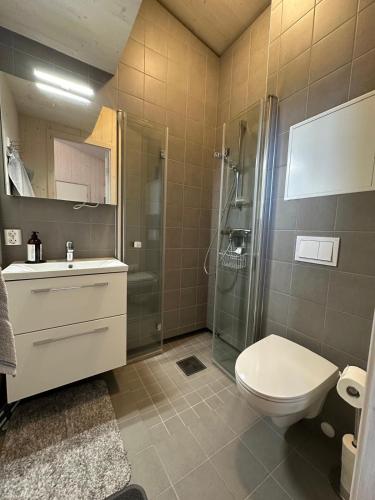 Koupelna v ubytování Cozy Riverside Loft Cabin in Oppaker, near Oslo