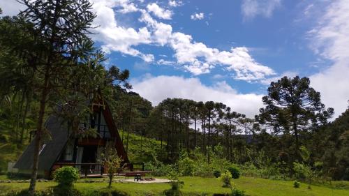 a small house in the middle of a forest at Bendito Vale Hospedaria in Urubici