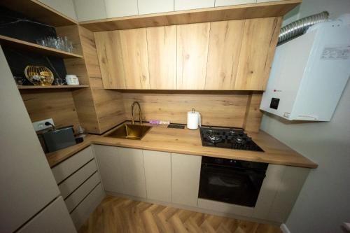 Kuchyň nebo kuchyňský kout v ubytování Studio Luxury Promenada