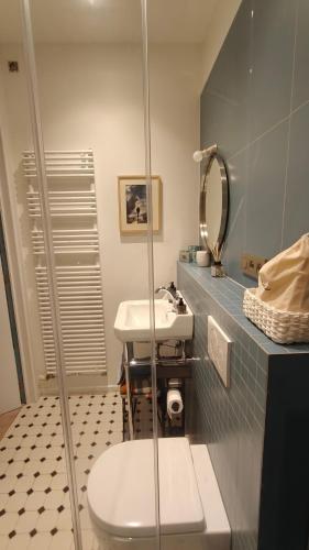 een badkamer met een wastafel, een toilet en een spiegel bij Marilou and Dalibor's room in Brussel