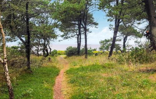 Naturlandskabet i nærheden af feriehuset