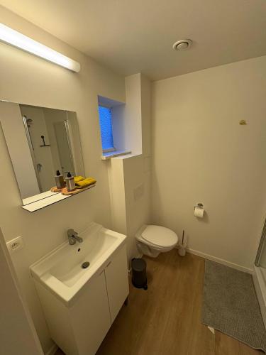 a white bathroom with a sink and a toilet at Briefstreet - Louvain in Leuven
