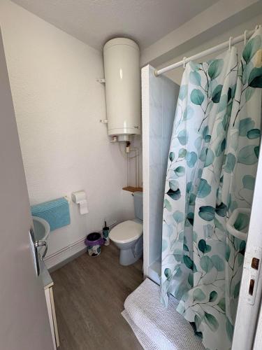 a bathroom with a toilet and a shower curtain at Hirondelles 3 in Eugénie-les-Bains
