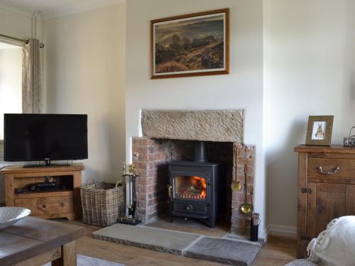 a living room with a fireplace and a tv at Ling Farm Cottage in Holmewood