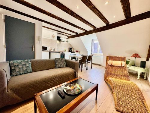 L'Ours de Colmar - Appartements en centre ville