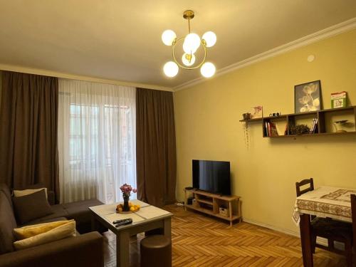 巴统Tamara的客厅里有一张沙发和一台电视